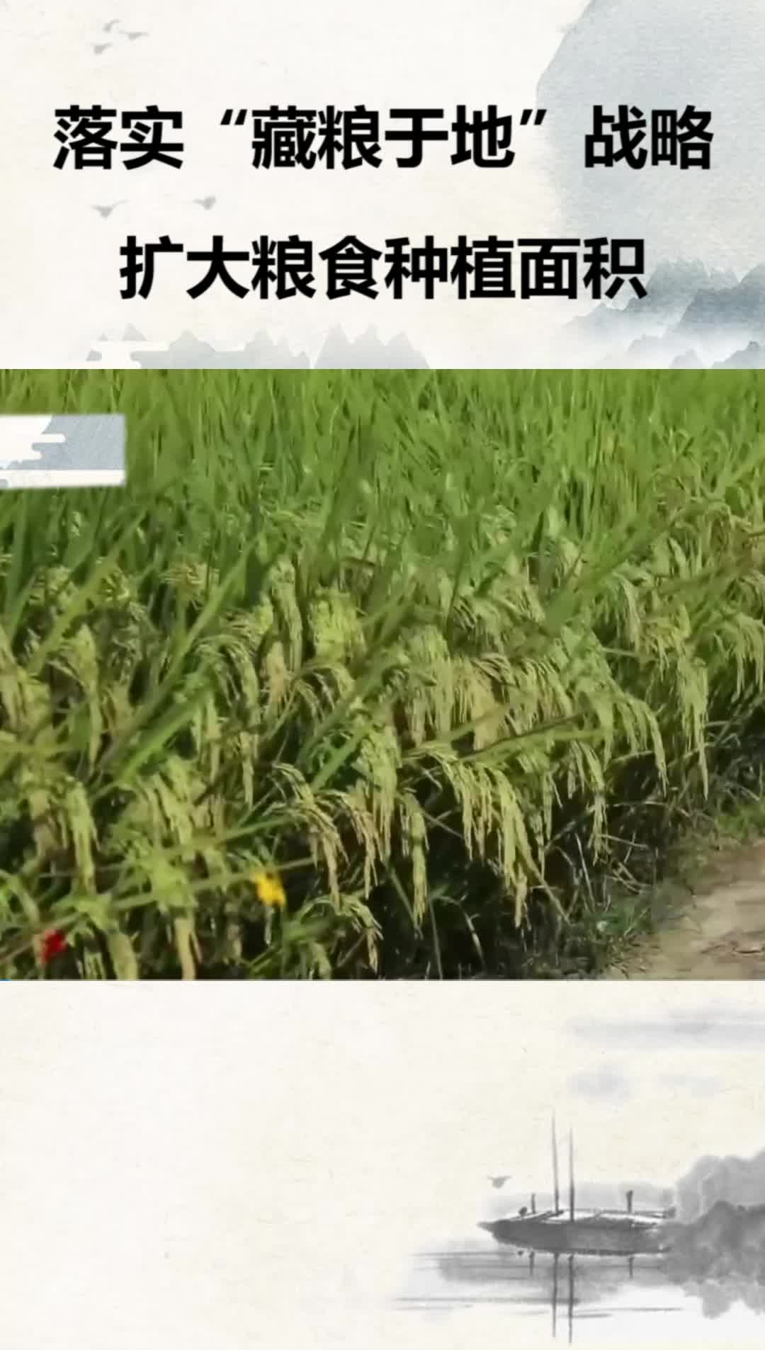 落实“藏粮于地”战略扩大粮食种植面积